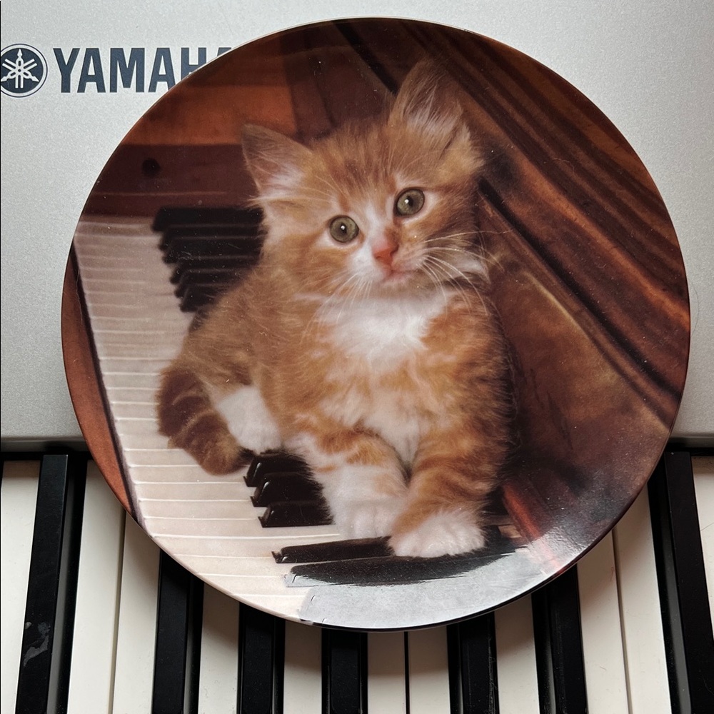 Vintage Kitten Plate on Piano
